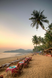 Goa — destination curated by TVD Global